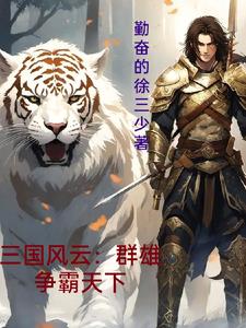 三国风云:群雄争霸天下